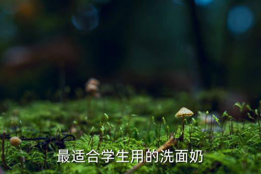 最适合学生用的洗面奶