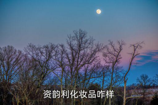 资韵利化妆品咋样
