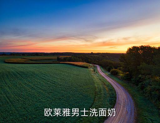 欧莱雅男士洗面奶