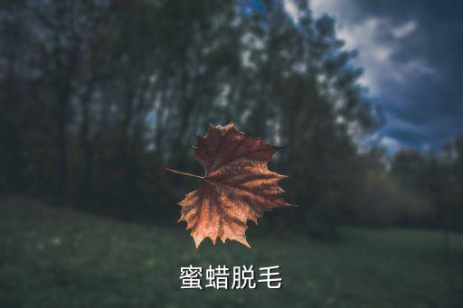 必列斯脱毛蜜蜡怎么样,用蜜蜡脱毛需先加热再用脱毛蜡进行脱毛