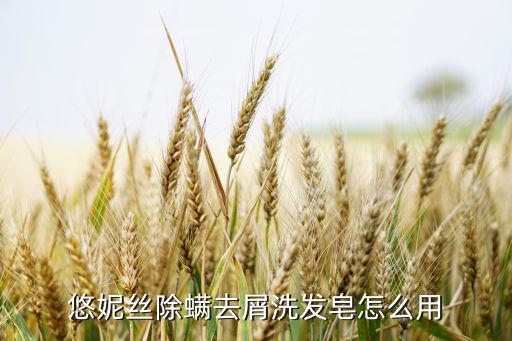 露诗洗发皂怎么用,滴露香皂可以洗头吗