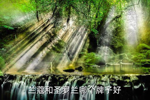 圣罗兰的彩妆怎么样,兰蔻口红哪个牌子好?答案出炉!