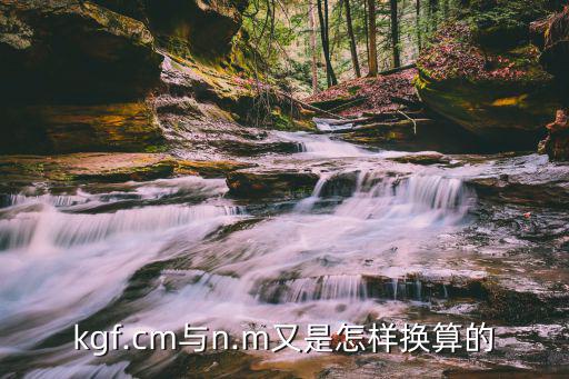 n.m.f怎么样,N f t