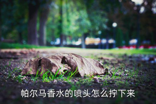 帕尔马怎么了,埃尔帕尔马