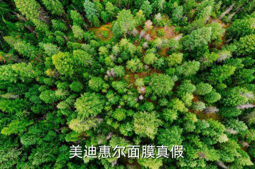 美迪惠尔面膜真假