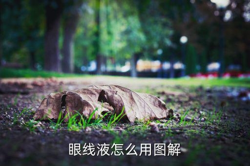 透蜜眼线胶怎么用,眼线胶怎么用?