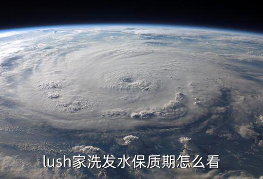 lush家洗发水保质期怎么看