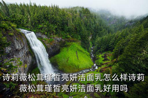诗莉薇松茸瑾皙亮妍洁面乳怎么样诗莉薇松茸瑾皙亮妍洁面乳好用吗