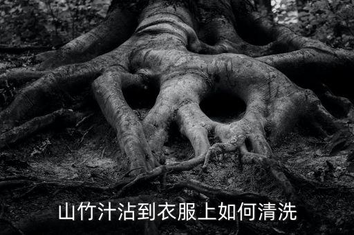 山竹蹭白衣服怎么办,拖一段时间果汁渍怎么办?可用漂渍液清洗