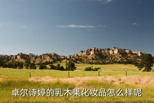 卓尔诗婷怎么样,卓尔诗婷化妆品有限公司代理经营