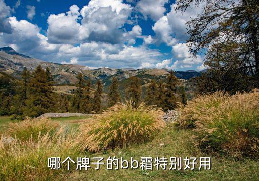 哪个牌子的bb霜特别好用