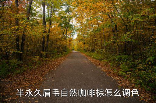 半永久眉毛自然咖啡棕怎么调色