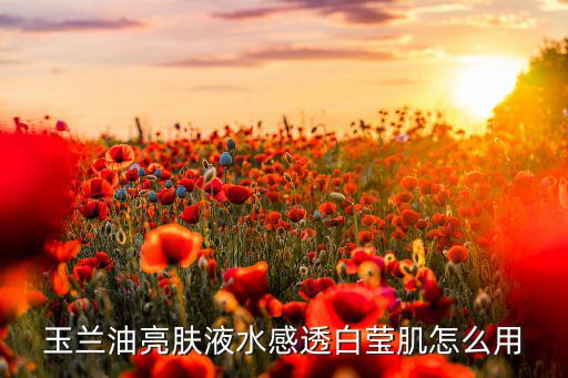 玉兰油亮肤液水感透白莹肌怎么用