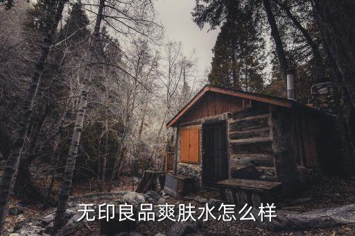 无印良品爽肤水怎么样