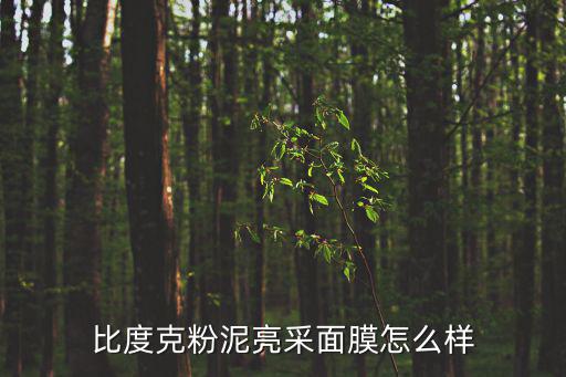 比度克粉泥亮采面膜怎么样