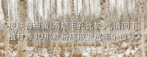 皮肤有点黄,两颊毛孔比较大,请问下植村秀3D那款粉底液要选哪个色号...