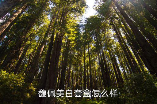 诗佳秀美白套盒怎么样,秀雅韩美白套盒怎么样