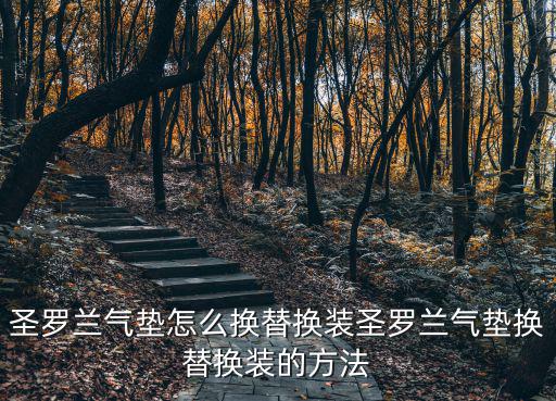 圣罗兰气垫怎么换替换装圣罗兰气垫换替换装的方法