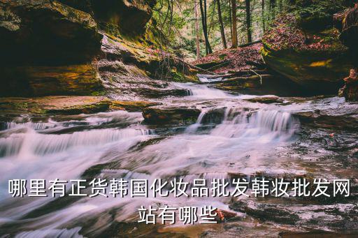 怎么批发韩妆,哪里有正货韩国化妆品批发?韩妆批发网站有哪些
