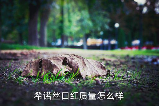 希诺丝口红质量怎么样