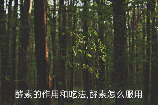 酵素的作用和吃法,酵素怎么服用