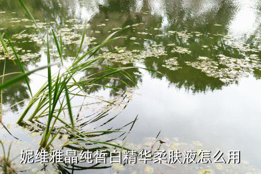 深层皙白乳液怎么用,纯皙美白乳液功效