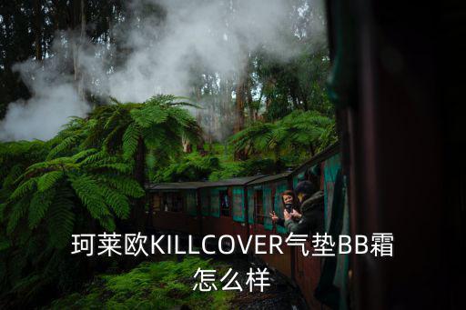 珂莱欧KILLCOVER气垫BB霜怎么样