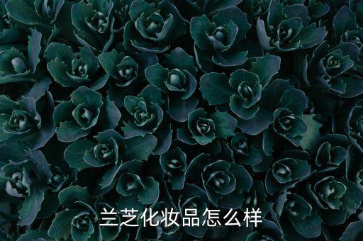 兰芝化妆品怎么样