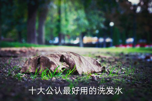 舒茶滋洗发露怎么样,滋源洗发水怎么样?