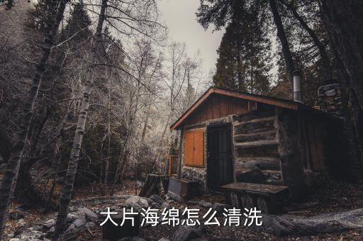 大片海绵怎么清洗
