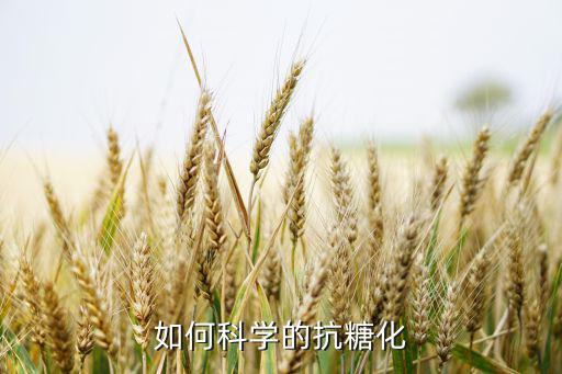 如何科学的抗糖化