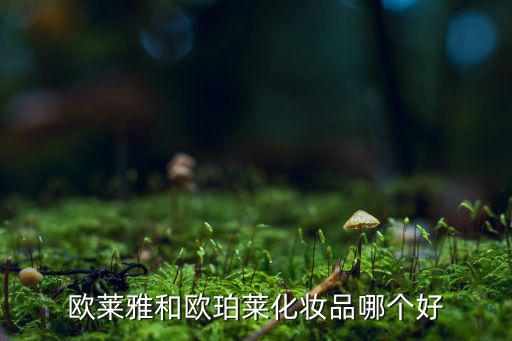 欧莱雅和欧珀莱化妆品哪个好
