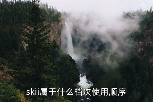 skii属于什么档次使用顺序