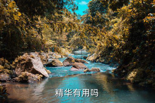 精华有用吗