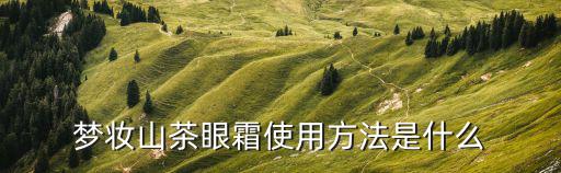 梦妆山茶眼霜使用方法是什么