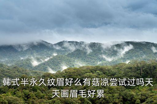 韩式半永久纹眉好么有菇凉尝试过吗天天画眉毛好累