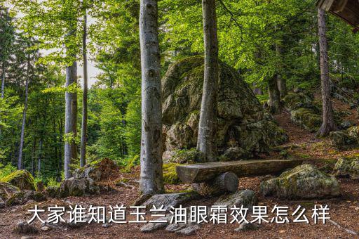 大家谁知道玉兰油眼霜效果怎么样