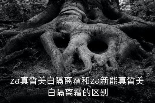 za真皙美白隔离霜和za新能真皙美白隔离霜的区别