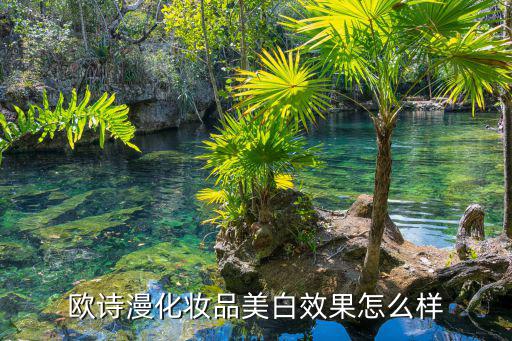 欧诗漫护肤品怎么,辨别欧诗漫真假品牌步骤:点击防伪查询图标