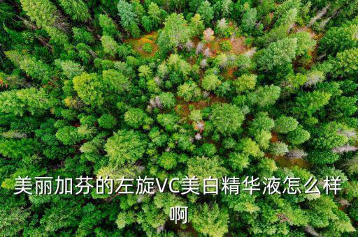 美丽加芬的左旋VC美白精华液怎么样啊