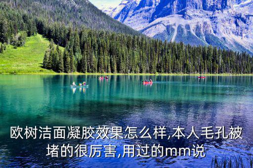 欧树洁面凝胶效果怎么样,本人毛孔被堵的很厉害,用过的mm说