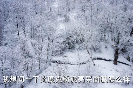 我想问一下比度克粉泥亮采面膜怎么样