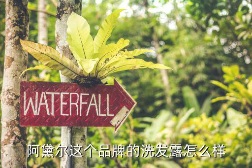 as洗发水怎么样,asulong洗发水