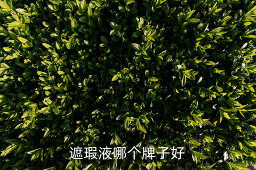 遮瑕液哪个牌子好