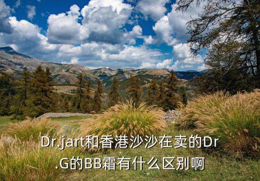 Dr.jart和香港沙沙在卖的Dr.G的BB霜有什么区别啊