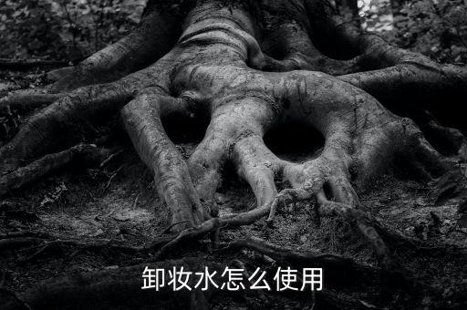 卸妆水怎么使用