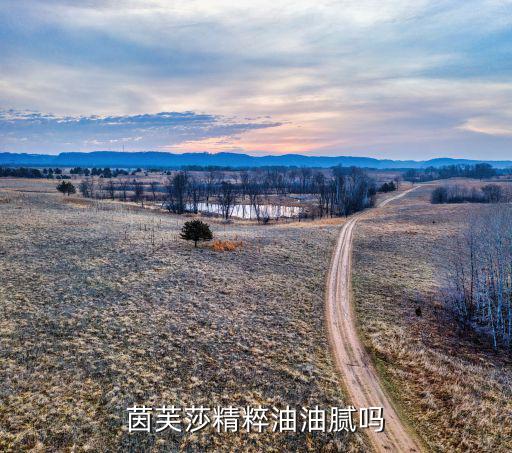 茵芙纱自律乳怎么样,茵芙莎自律美肌液是乳液吗?