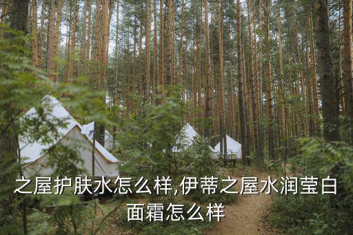 伊蒂之屋护肤水怎么样,伊蒂之屋水润莹白面霜怎么样?