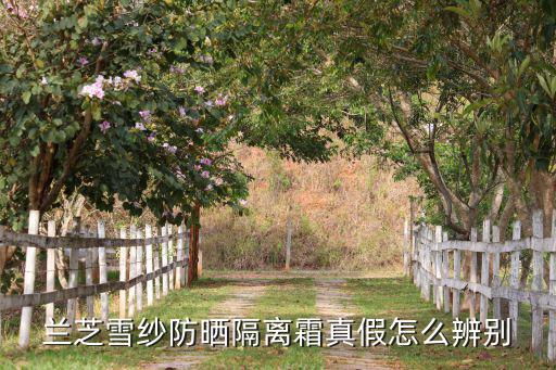 兰芝雪纱防晒隔离霜真假怎么辨别