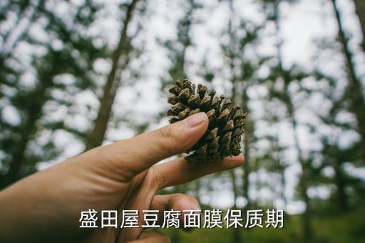 盛田屋豆腐面膜保质期